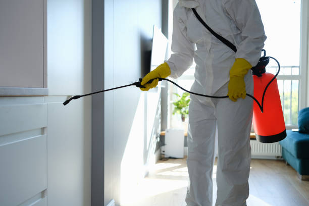 Best Mold Remediation  in Hill N Dale, FL