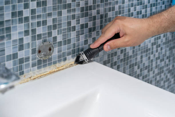 Best Black Mold Removal  in Hill N Dale, FL