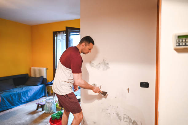 Best Mold Removal Near Me  in Hill N Dale, FL